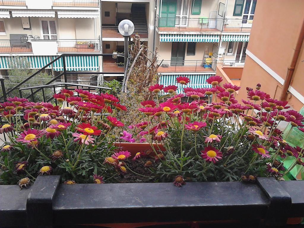 Appartamentino Nadia Monterosso al Mare Luaran gambar